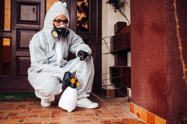 Reliable Cockroach Control contractor in Pleasanton, CA by Nex Pest Control